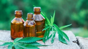 Budget-Friendly Cannabis Options Without Sacrificing Quality or Potency