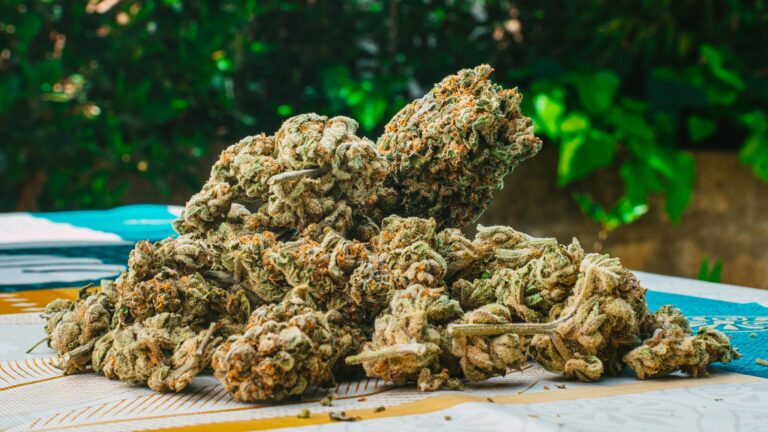 Potency Differences Separating Everyday Options From Stronger THCA Flower Choices